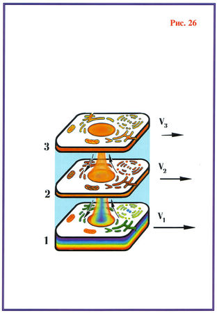 Николай Левашов - Последнее обращение к человечеству