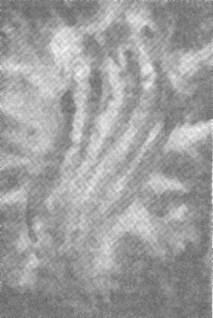 Станислав Гроф - Области человеческого бессознательного: данные исследований ЛСД