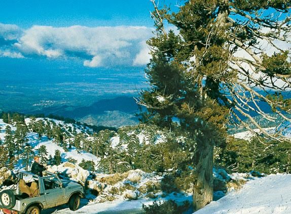 Вальдемар Вайс - Кипр. Путеводитель