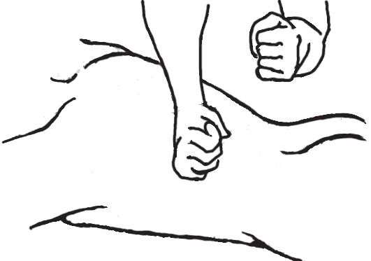 О. Мартин - Энциклопедия массажа