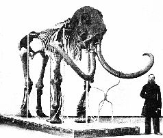 Наталья Гусева - Русский Север - прародина индославов