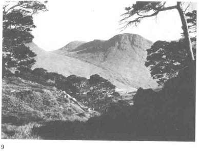 Изабель Хендерсон - Пикты. Таинственные воины древней Шотландии