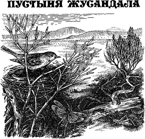 Павел Мариковский - Забытые острова