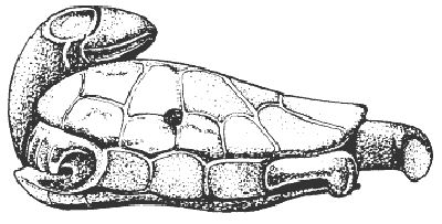 Уорвик Брэй - Ацтеки. Быт, религия, культура