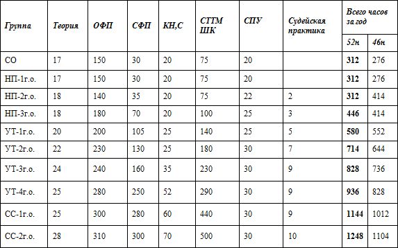 Евгений Головихин - Программа дополнительного образования детей "Самбо"