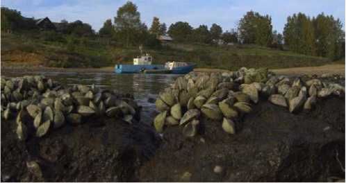 Владимир Бойко - История бухты Голландия в Севастополе