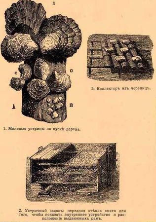 Владимир Бойко - История бухты Голландия в Севастополе