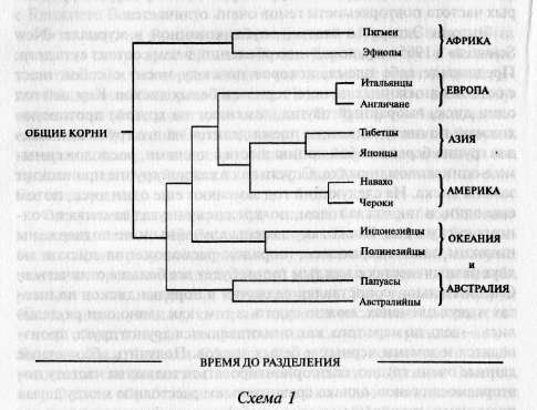 Брайан Сайкс - Расшифрованный код Ледового человека: От кого мы произошли, или...