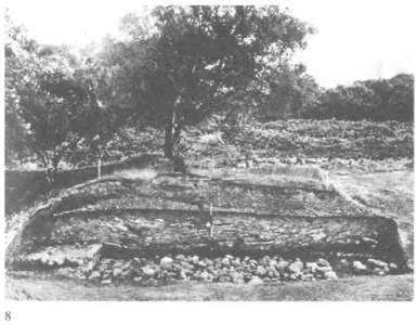 Изабель Хендерсон - Пикты. Таинственные воины древней Шотландии