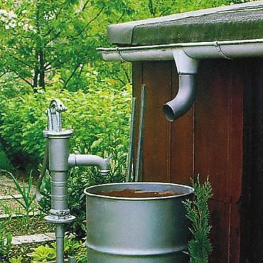 Татьяна Дорошенко - Суккуленты