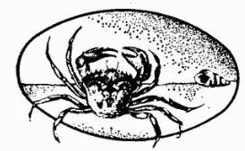 Жак-Ив Кусто, Ив Паккале и др. - В поисках Атлантиды