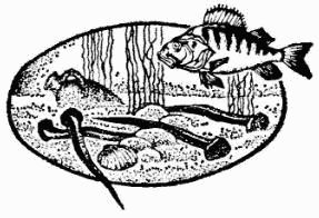 Жак-Ив Кусто, Ив Паккале и др. - В поисках Атлантиды