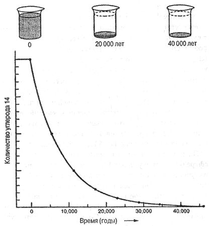 Дж. Д. Макдугалл - Краткая история планеты Земля: горы, животные, огонь и лед