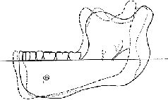 Русский Север - прародина индославов