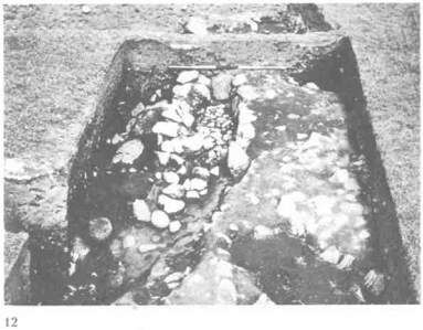 Изабель Хендерсон - Пикты. Таинственные воины древней Шотландии