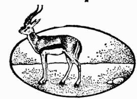 Жак-Ив Кусто, Ив Паккале и др. - В поисках Атлантиды