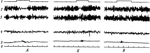 Александр Коган - Основы физиологии высшей нервной деятельности