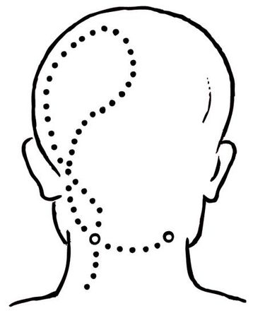 О. Мартин - Энциклопедия массажа