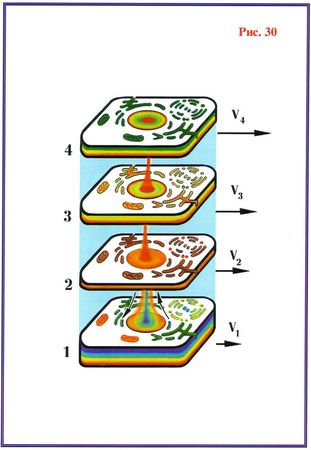 Николай Левашов - Последнее обращение к человечеству