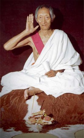 Калу Ринпоче - Совершенный буддизм. Жизнь, достойная подражания