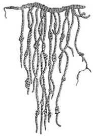 Коллектив авторов - Всемирная история