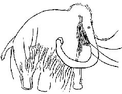 Наталья Гусева - Русский Север - прародина индославов