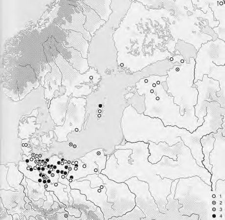 Андрей Пауль - Балтийские славяне. От Рерика до Старигарда