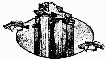 Жак-Ив Кусто, Ив Паккале и др. - В поисках Атлантиды