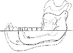 Наталья Гусева - Русский Север - прародина индославов