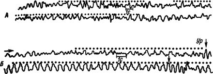 Александр Коган - Основы физиологии высшей нервной деятельности