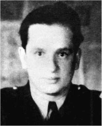 Сергей Дыбов - Подлинная история авиаполка "Нормандия - Неман"