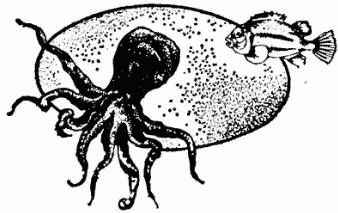 Жак-Ив Кусто, Ив Паккале и др. - В поисках Атлантиды