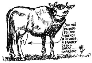 Иоанна Хмелевская - Книга про еду [Моя поваренная книга]