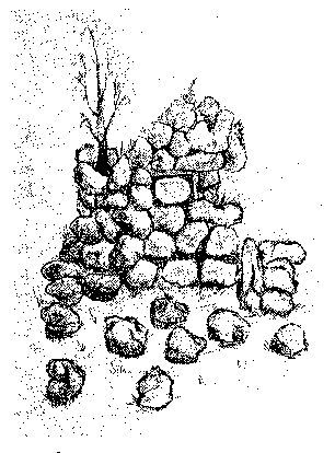 Станислав Гроф - Области человеческого бессознательного: данные исследований ЛСД