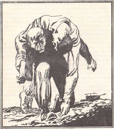 Александр Кикнадзе - Королевская примула