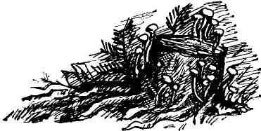 Анатолий Ткаченко - В поисках синекуры