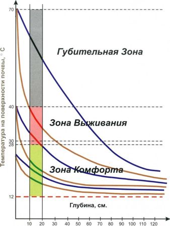 Борис Бублик, Виталий Гридчин - Умный огород круглый год