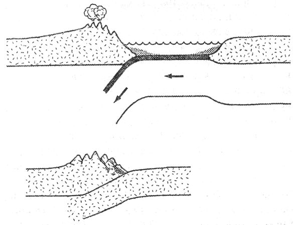Дж. Д. Макдугалл - Краткая история планеты Земля: горы, животные, огонь и лед