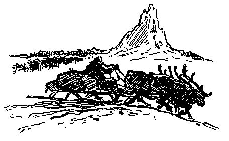 Иван Ефремов - Озеро горных духов (сборник)