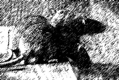 Александр Федотов - Макароны по-флотски (сборник)