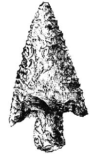 Наталья Гусева - Русский Север - прародина индославов