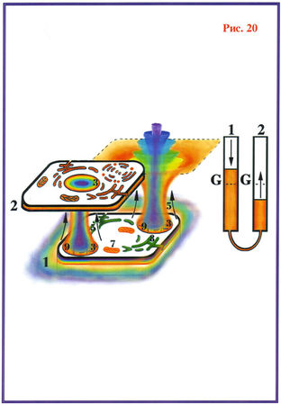 Николай Левашов - Последнее обращение к человечеству