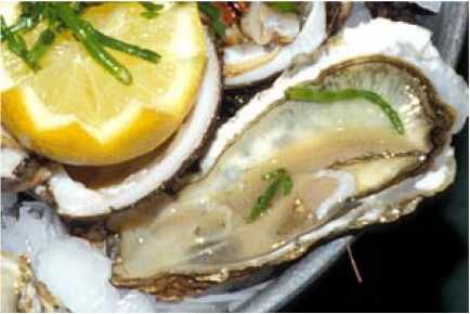 Владимир Бойко - История бухты Голландия в Севастополе