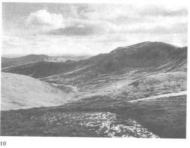 Изабель Хендерсон - Пикты. Таинственные воины древней Шотландии