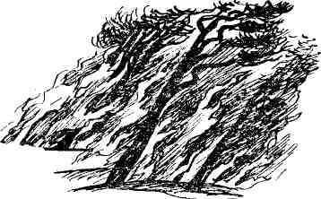 Анатолий Ткаченко - В поисках синекуры