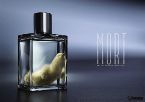 Дмитрий Стародубцев - Продавец мечты. Книга первая