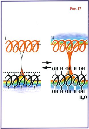 Николай Левашов - Последнее обращение к человечеству