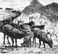 Наталья Гусева - Русский Север - прародина индославов