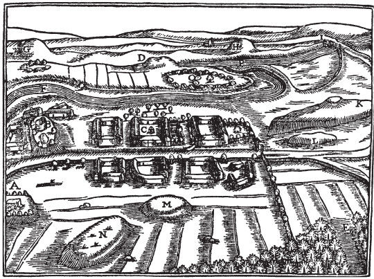 Гвин Джонс - Викинги. Потомки Одина и Тора