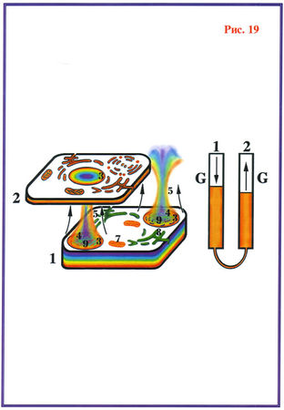 Николай Левашов - Последнее обращение к человечеству
